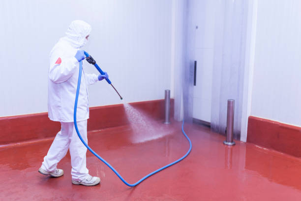 Best Solar Panel Cleaning  in Buchanan Dam, TX